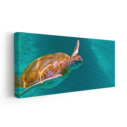 Maui Green Sea Turtle Wall Art Canvas-Stunning Canvas Prints