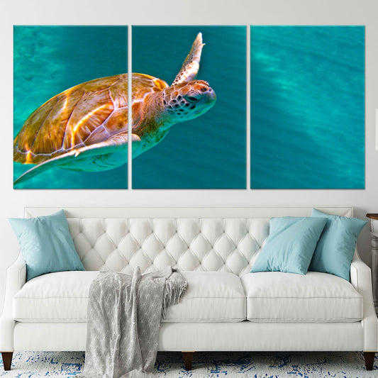 Maui Green Sea Turtle Wall Art Canvas-Stunning Canvas Prints