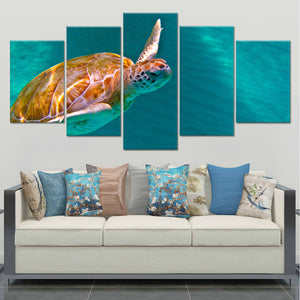 Maui Green Sea Turtle Wall Art Canvas-Stunning Canvas Prints