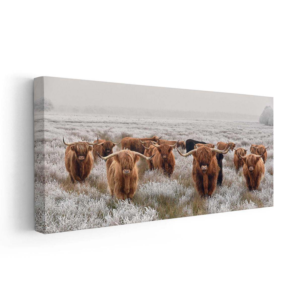 Brown Highland Cows Wall Art Canvas-Stunning Canvas Prints