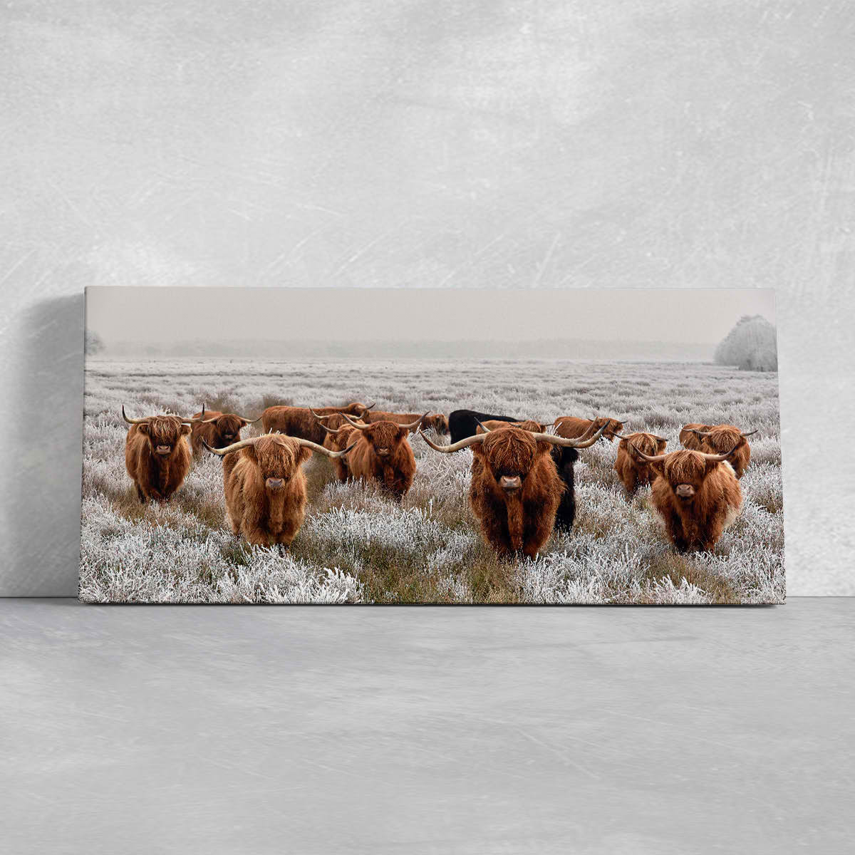 Brown Highland Cows Wall Art Canvas-Stunning Canvas Prints