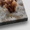 Brown Highland Cows Wall Art Canvas-Stunning Canvas Prints