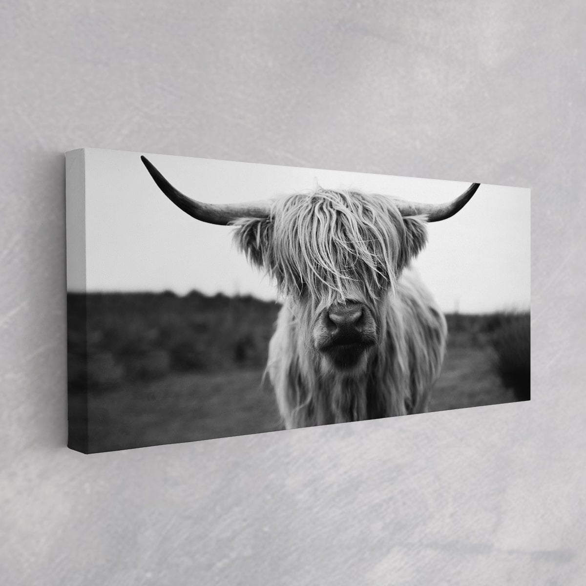 Extra Large Highland Cow Wall Art For Bedroom Wall-Stunning Canvas Prints