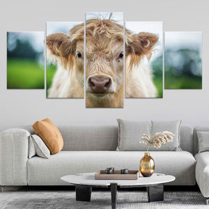 Scottish Highland Calf Wall Art Canvas-Stunning Canvas Prints