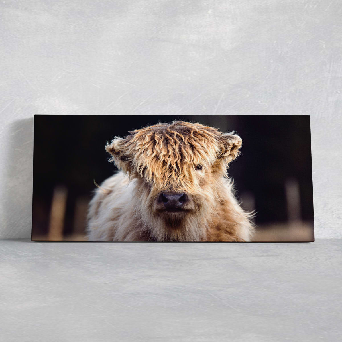 Mini Shaggy Cow Wall Art Canvas-Stunning Canvas Prints