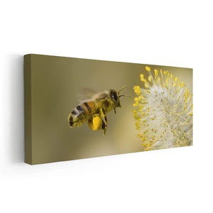 Honey Bee Wall Art Canvas-Stunning Canvas Prints