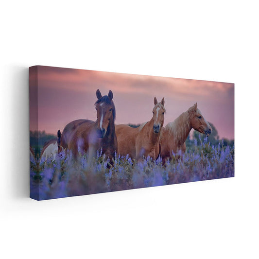 Flower Field Horses Wall Art Canvas-Stunning Canvas Prints