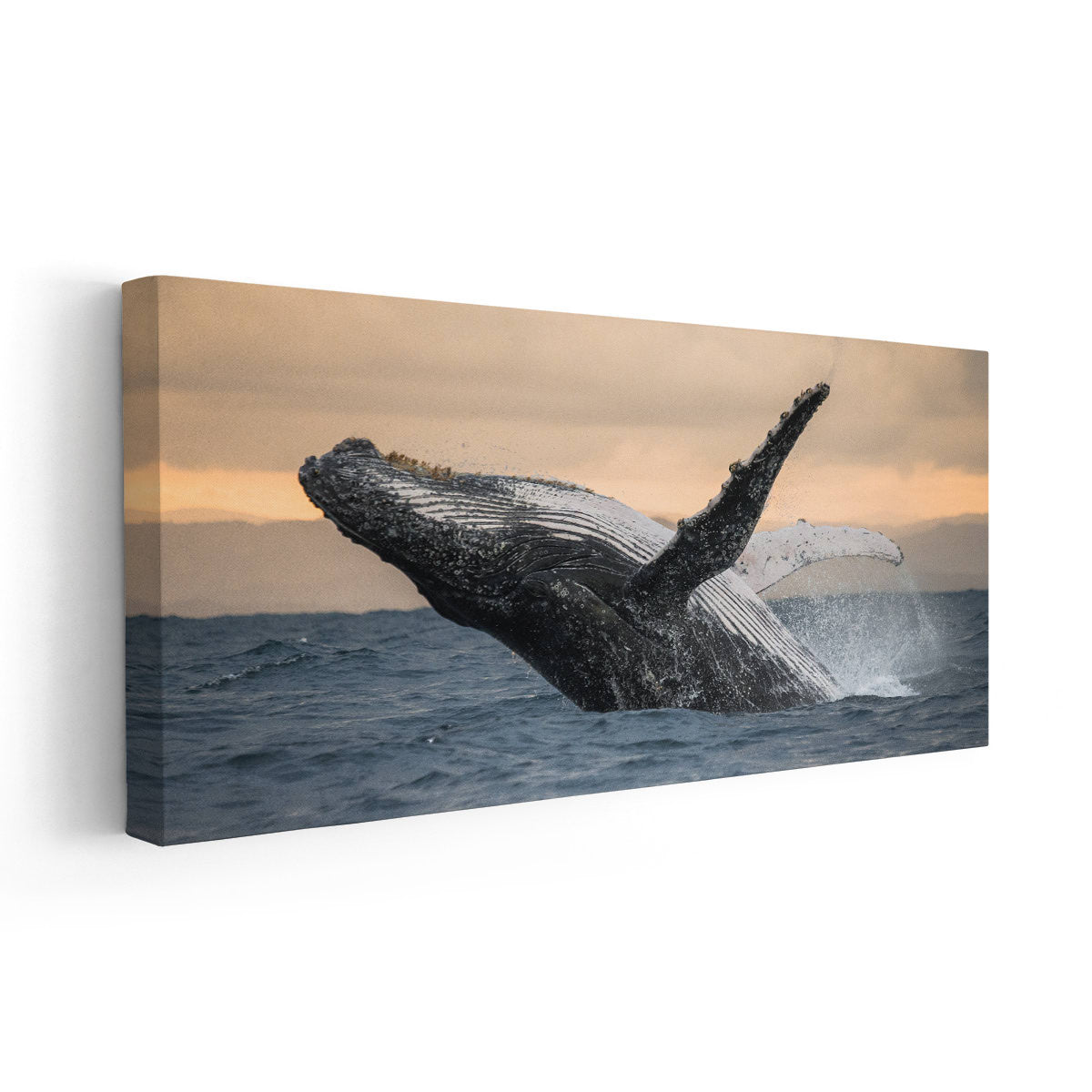 Humpback Whale Wall Art Canvas-Stunning Canvas Prints