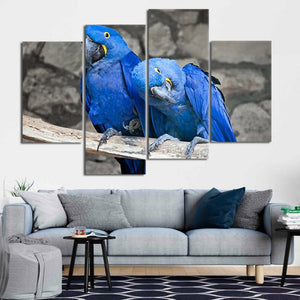 Blue Macaw Parrots Wall Art Canvas-Stunning Canvas Prints