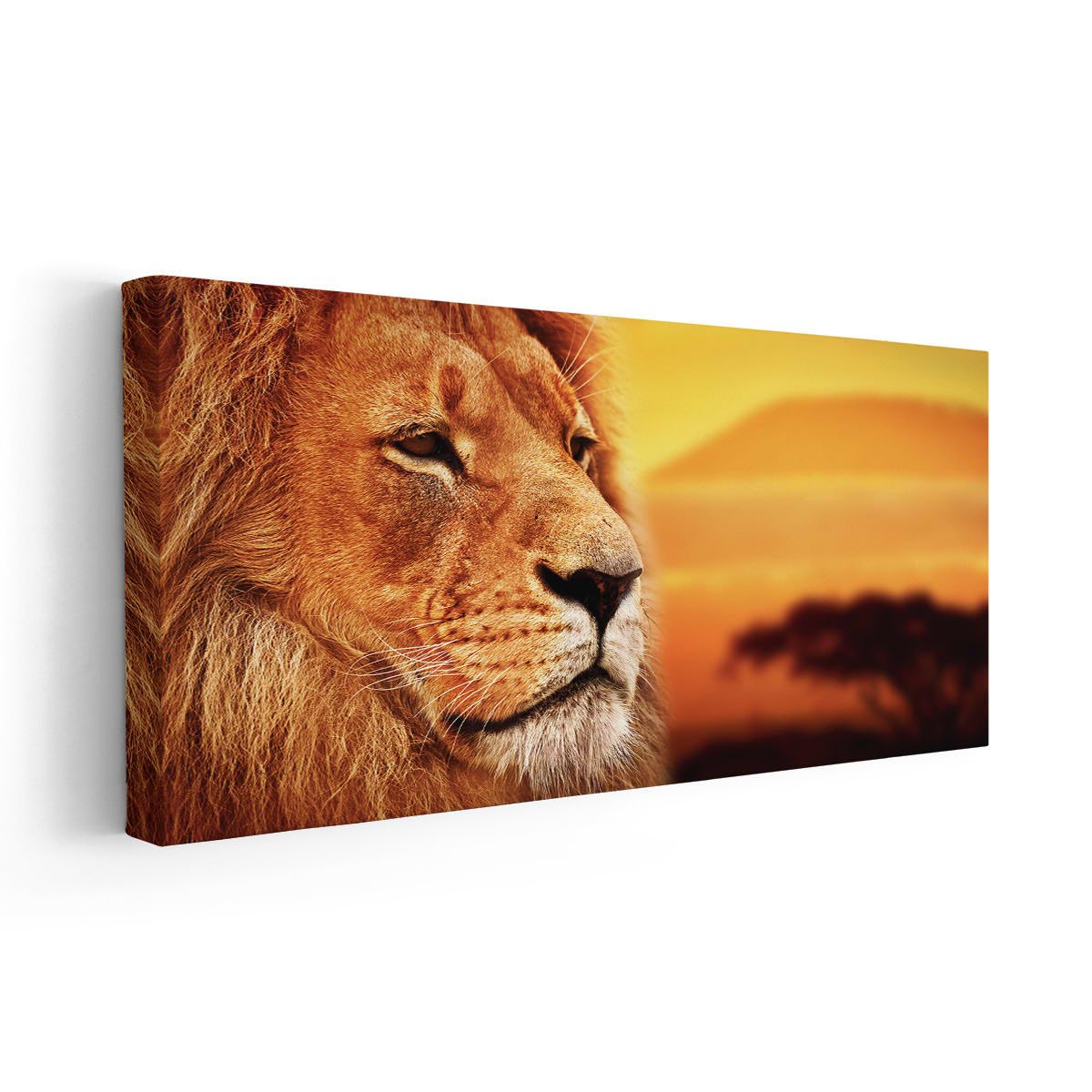 Savanna Lion Portrait Wall Art Canvas-Stunning Canvas Prints