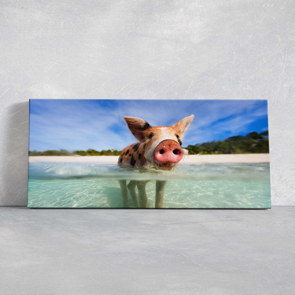 Swimming Pigs Wall Art Canvas-Stunning Canvas Prints