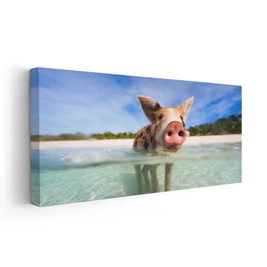 Swimming Pigs Wall Art Canvas-Stunning Canvas Prints