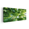 Green Bamboo Trees Wall Art-Stunning Canvas Prints