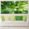 Green Bamboo Trees Wall Art-Stunning Canvas Prints