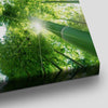 Green Bamboo Trees Wall Art-Stunning Canvas Prints