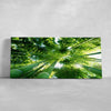 Green Bamboo Trees Wall Art-Stunning Canvas Prints