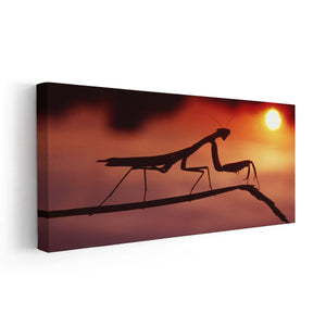 Mantis Wall Art Canvas-Stunning Canvas Prints