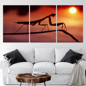 Mantis Wall Art Canvas-Stunning Canvas Prints