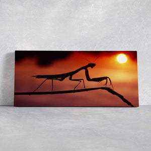 Mantis Wall Art Canvas-Stunning Canvas Prints