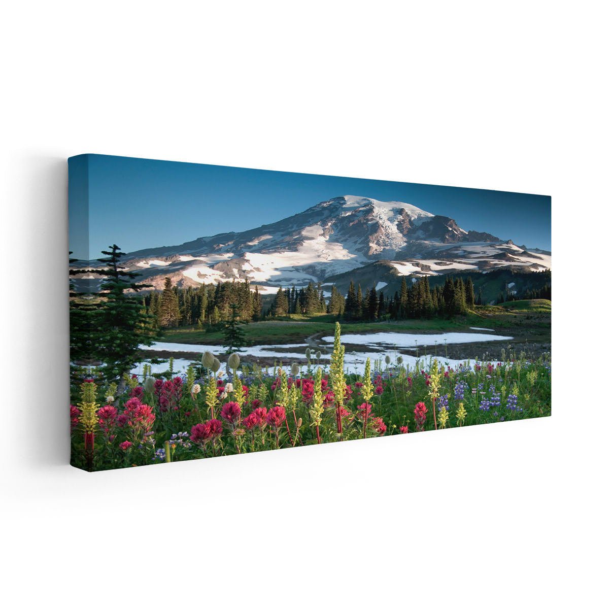 Mount Rainier Wildflowers Wall Art Canvas-Stunning Canvas Prints