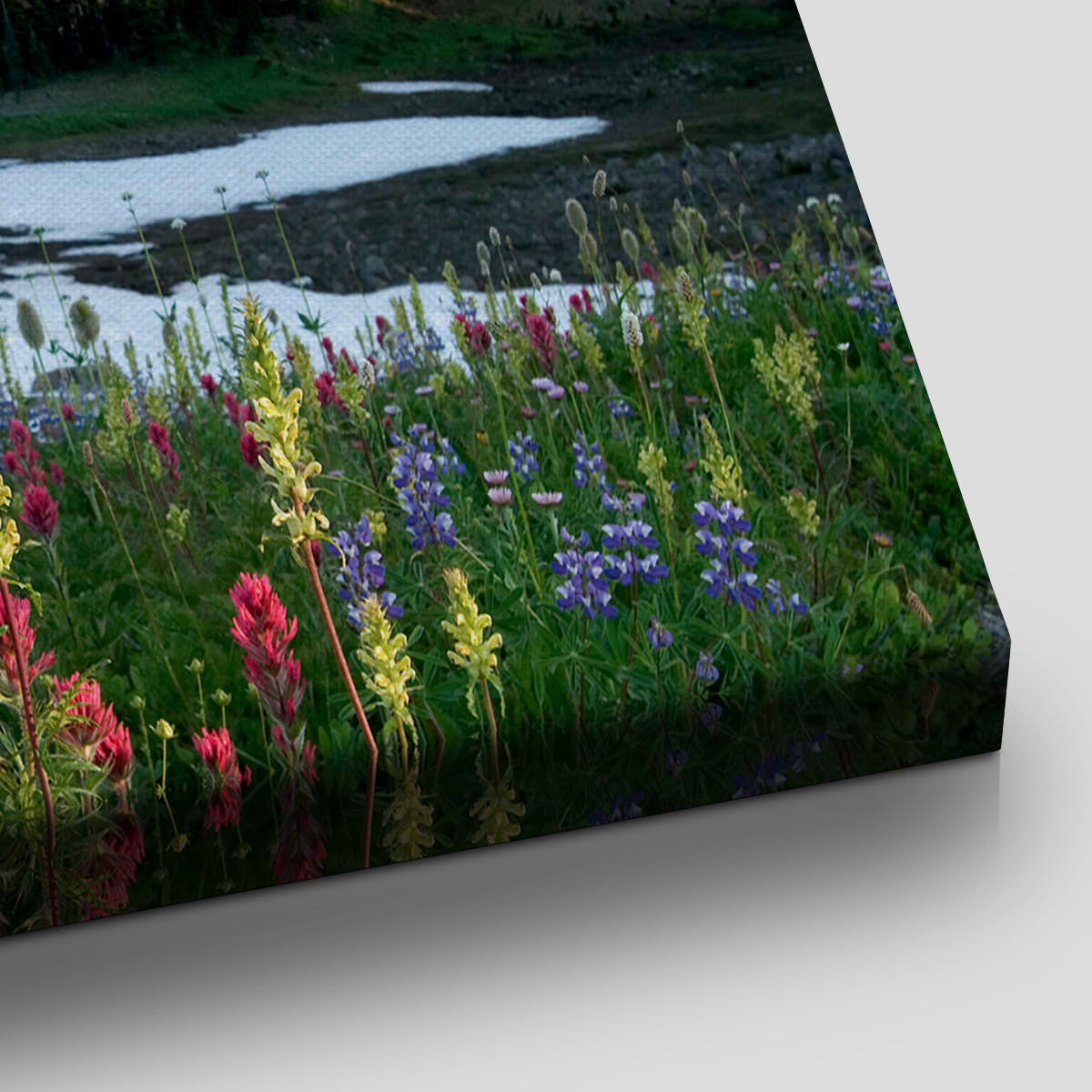 Mount Rainier Wildflowers Wall Art Canvas-Stunning Canvas Prints