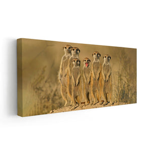 Meerkats Wall Art Canvas-Stunning Canvas Prints