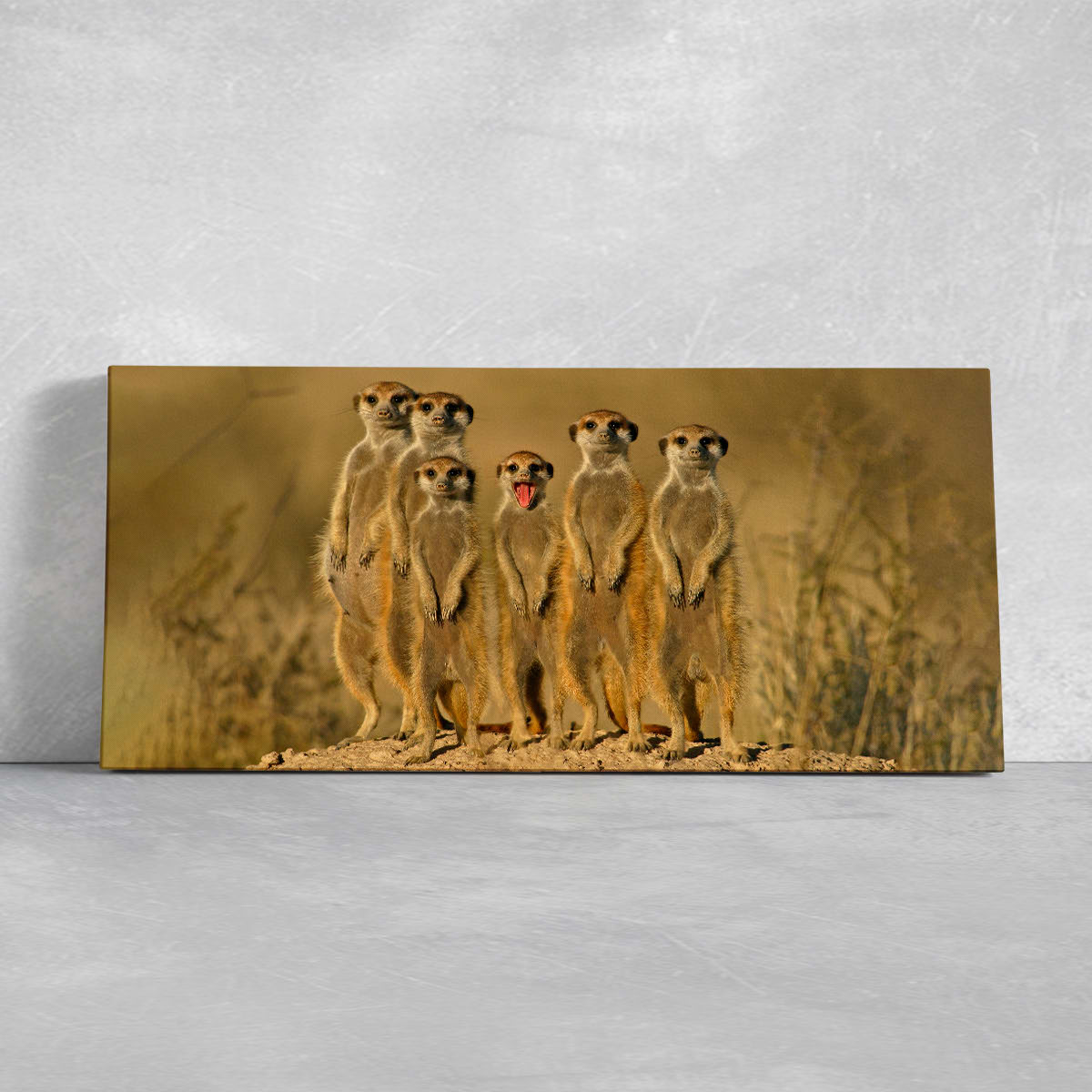 Meerkats Wall Art Canvas-Stunning Canvas Prints