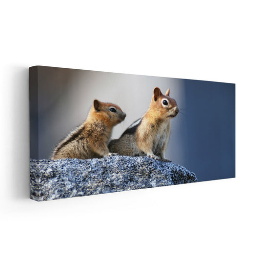 Mother And Baby Squirrel Wall Art Canvas-Stunning Canvas Prints