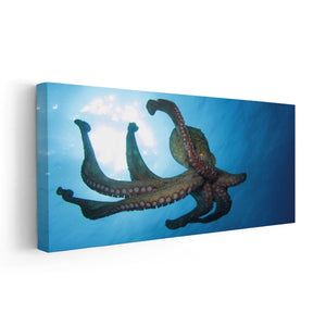 Wild Octopus Wall Art Canvas-Stunning Canvas Prints