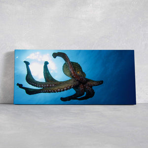 Wild Octopus Wall Art Canvas-Stunning Canvas Prints