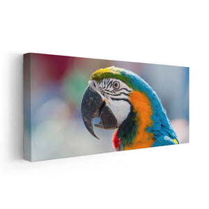 Parrot Portrait Wall Art Canvas-Stunning Canvas Prints