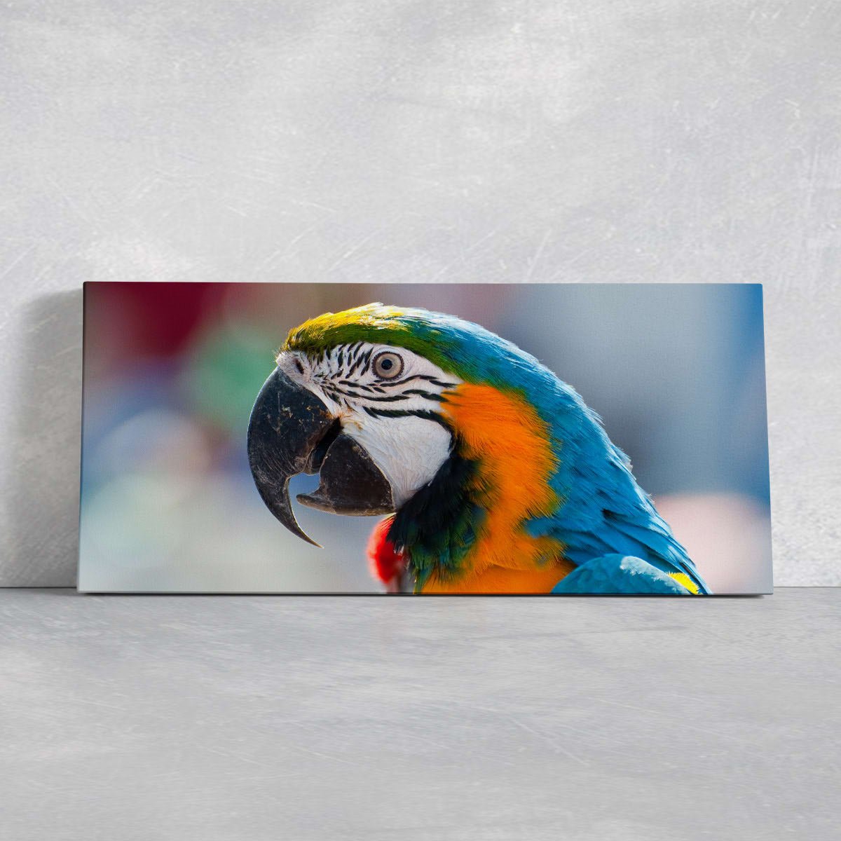 Parrot Portrait Wall Art Canvas-Stunning Canvas Prints