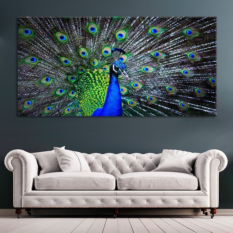 Blue Peacock Feathers Wall Art Canvas-Stunning Canvas Prints