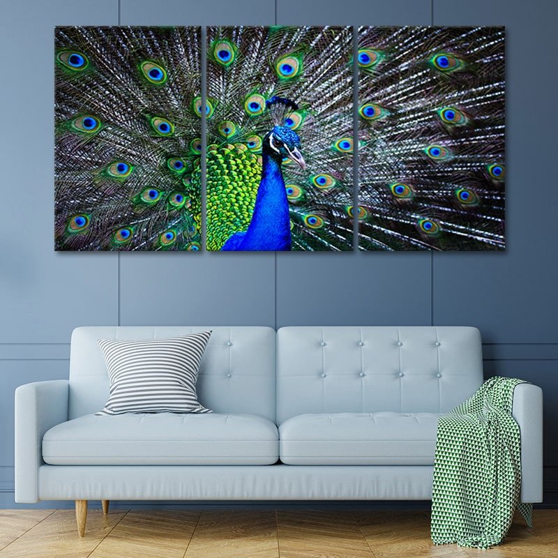 Blue Peacock Feathers Wall Art Canvas-Stunning Canvas Prints