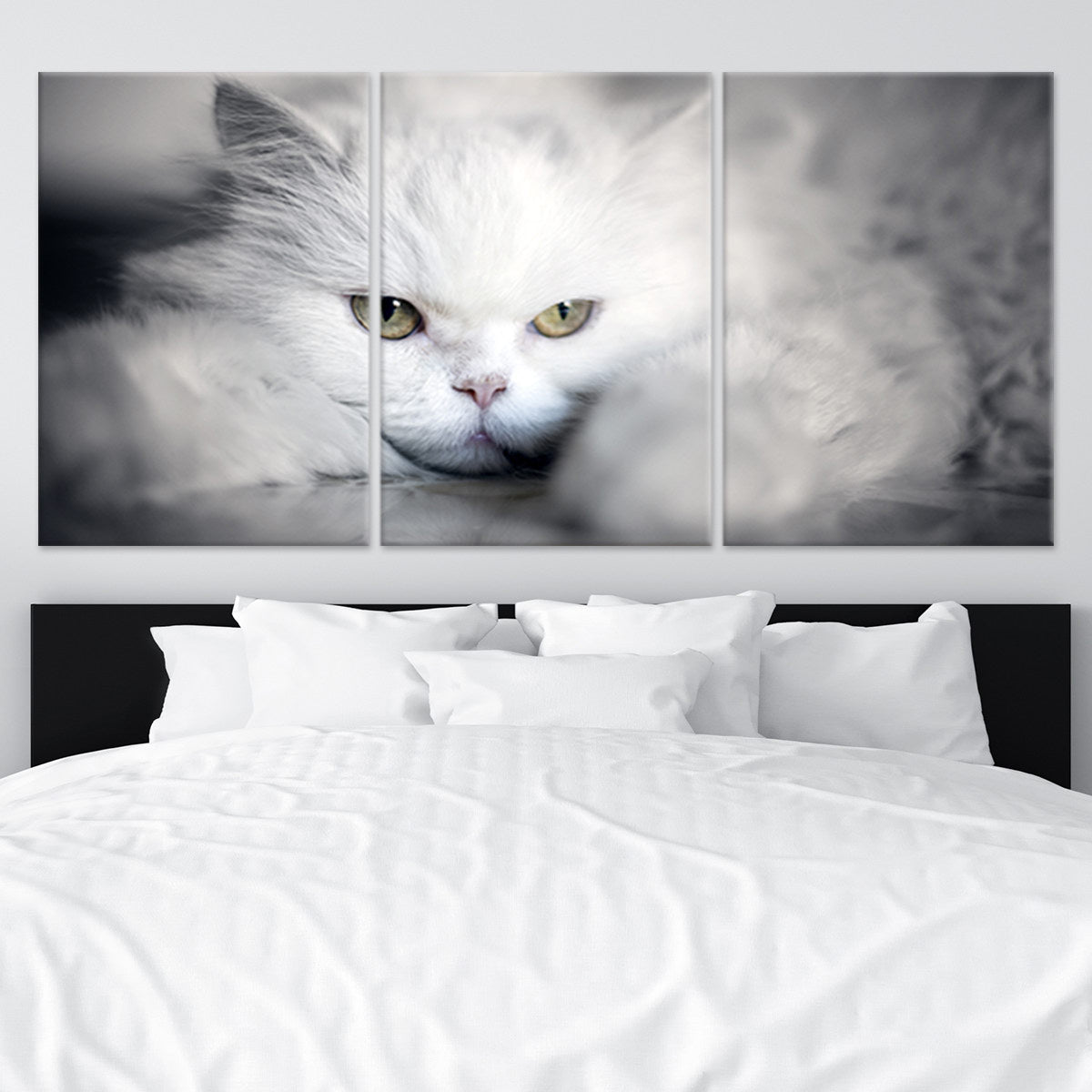 White Persian Cat Wall Art Canvas-Stunning Canvas Prints