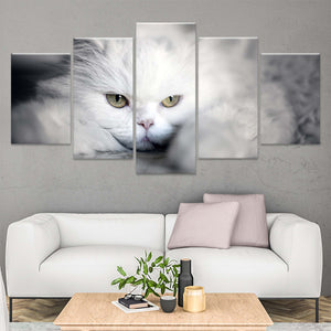 White Persian Cat Wall Art Canvas-Stunning Canvas Prints