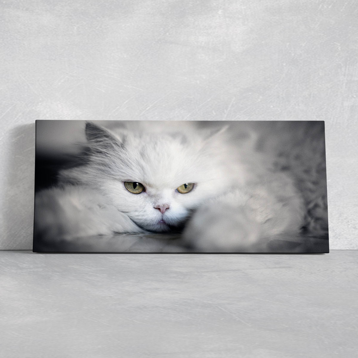 White Persian Cat Wall Art Canvas-Stunning Canvas Prints