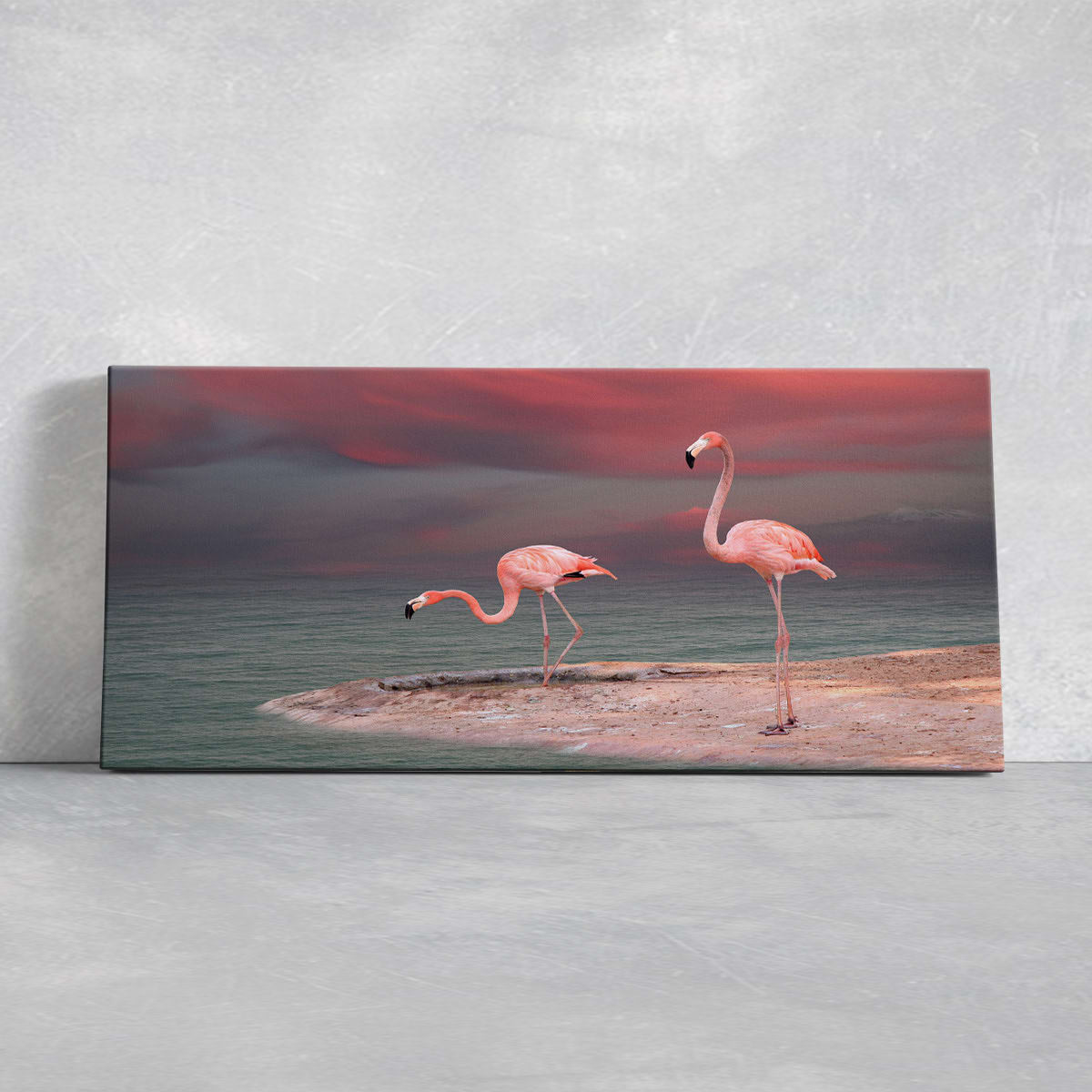 Two Wild Flamingos Wall Art Canvas-Stunning Canvas Prints