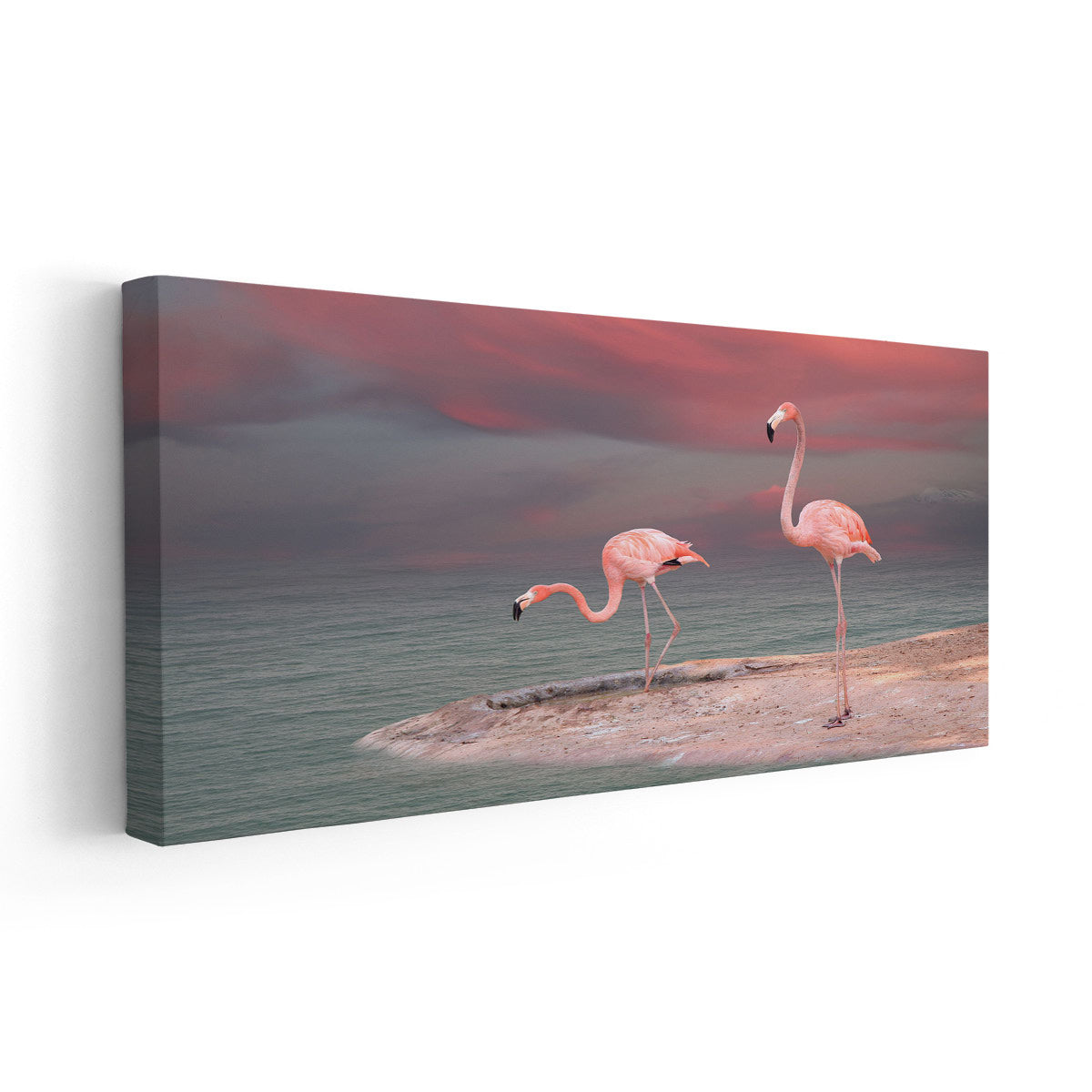 Two Wild Flamingos Wall Art Canvas-Stunning Canvas Prints