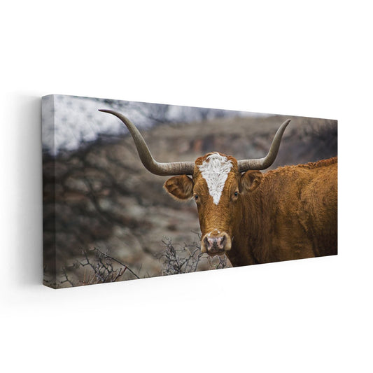 Texas Longhorn Portrait Wall Art Canvas-Stunning Canvas Prints