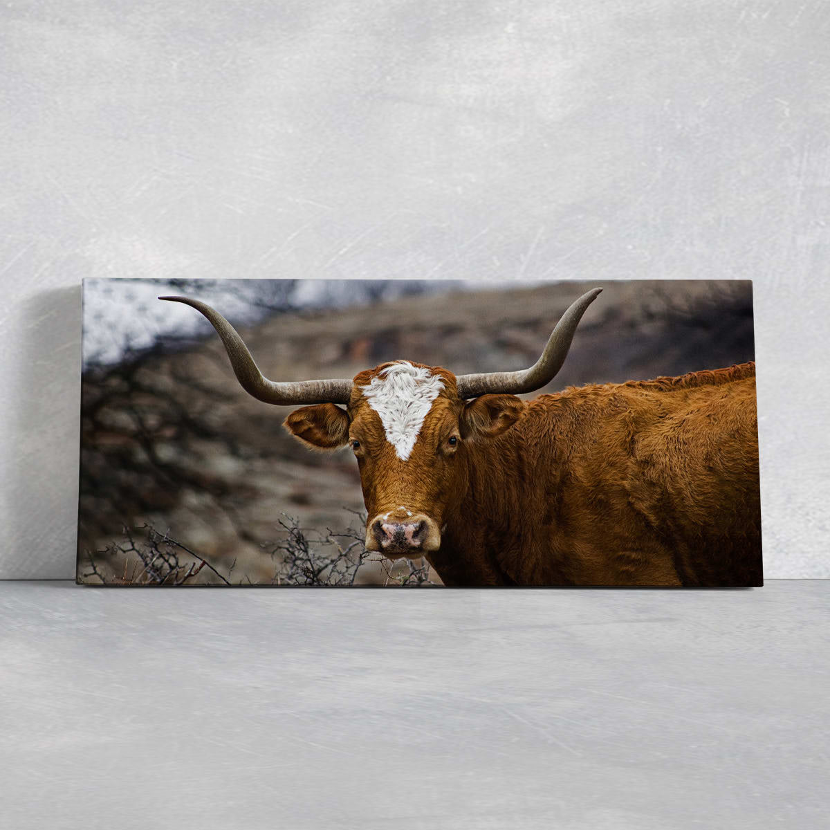 Texas Longhorn Portrait Wall Art Canvas-Stunning Canvas Prints