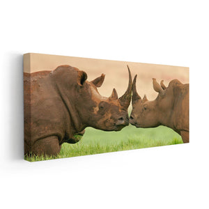 Loving Rhinos Wall Art Canvas-Stunning Canvas Prints