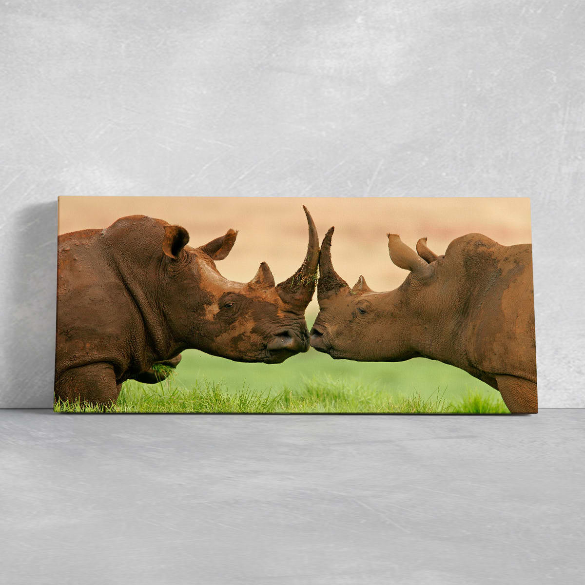 Loving Rhinos Wall Art Canvas-Stunning Canvas Prints