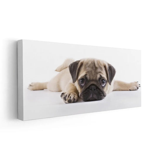 Puppy Pug Wall Art Canvas Print-Stunning Canvas Prints