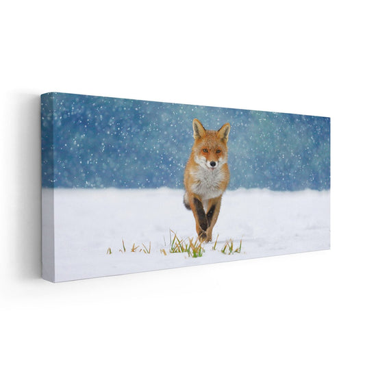 Red Fox Wall Art Canvas-Stunning Canvas Prints