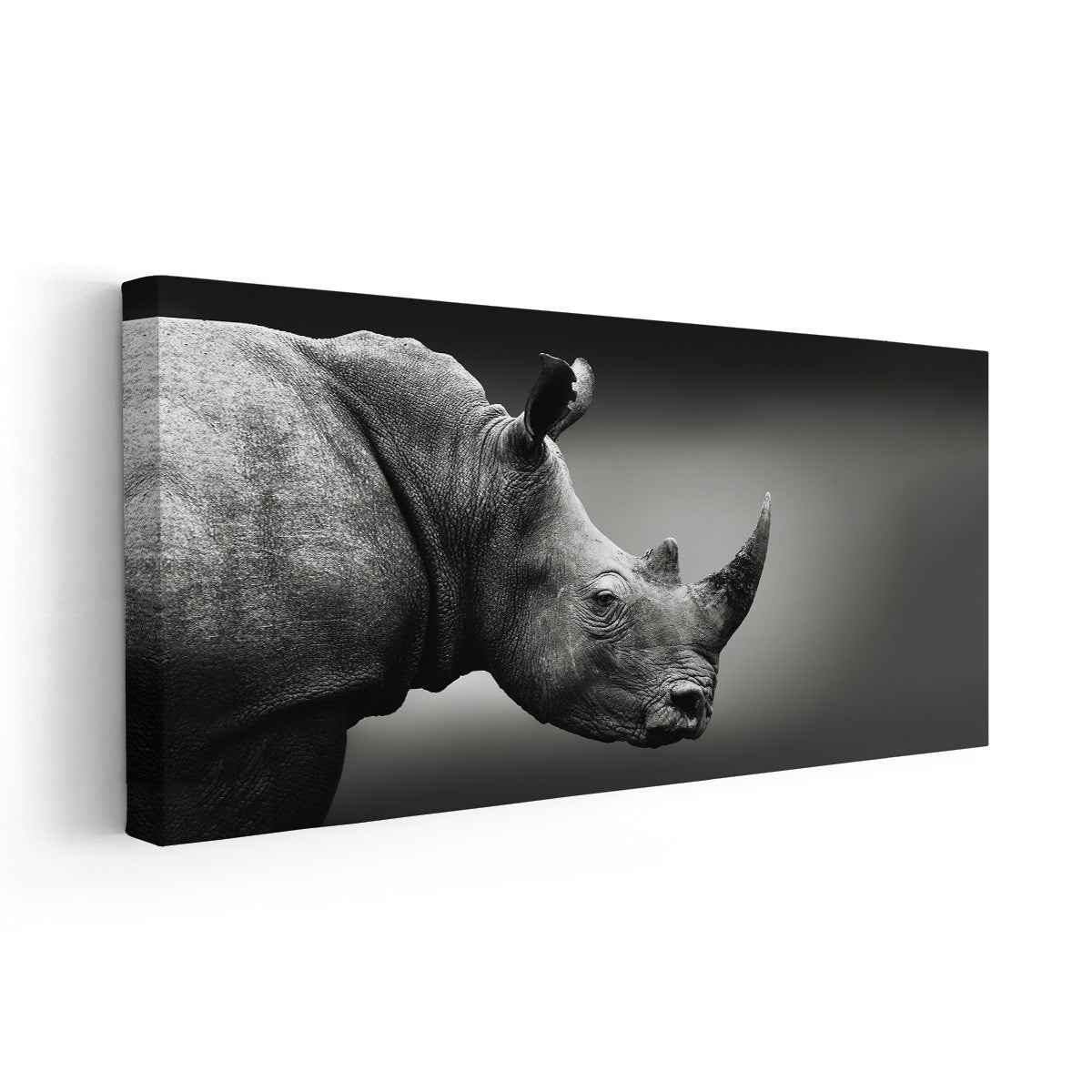 Black And White Rhino Wall Art Canvas-Stunning Canvas Prints