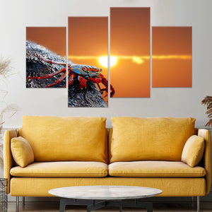 Sally Lightfoot Crab Wall Art Canvas-Stunning Canvas Prints