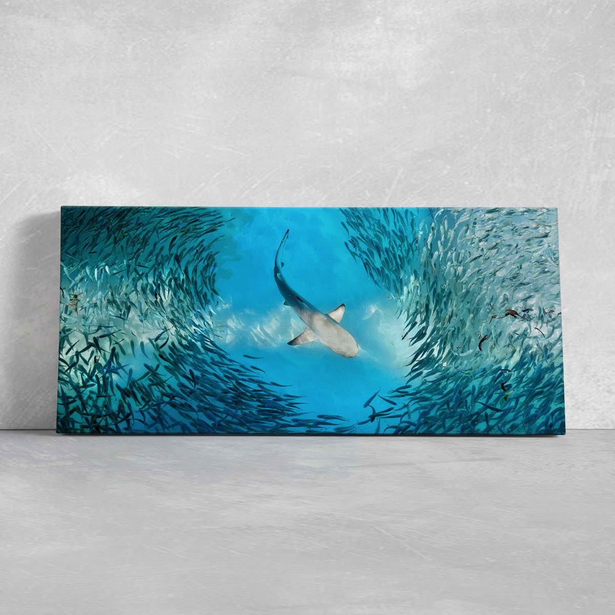 Hunting Shark Wall Art Canvas-Stunning Canvas Prints