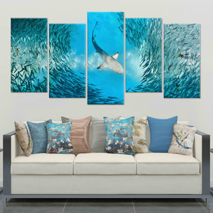 Hunting Shark Wall Art Canvas-Stunning Canvas Prints