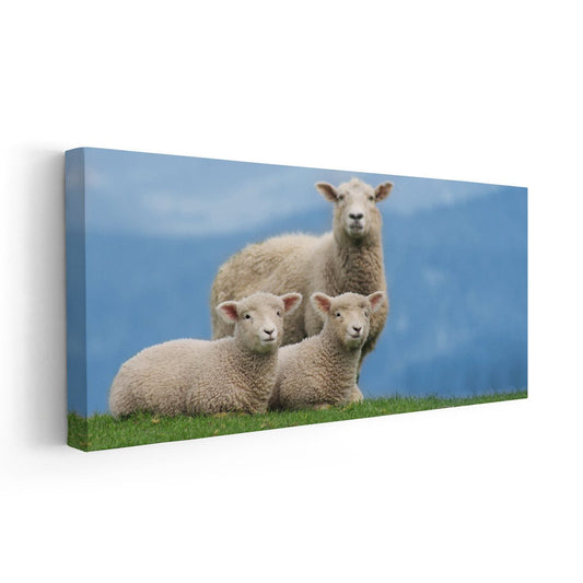 Sheep Family Wall Art Canvas-Stunning Canvas Prints